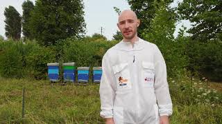 Gli impatti del bosco nettarifero per lapiario  Oasi della Biodiversità Cherry Bank [upl. by Benjamen2]