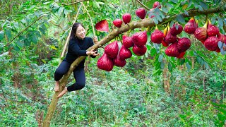 Harvesting Big Red Figs amp Goes To Market Sell  Gardening And Cooking  Lý Tiểu Vân [upl. by Annahpos]