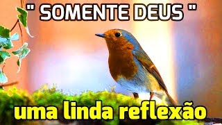 Linda Mensagem de Bom Dia  SOMENTE DEUS I Linda Reflexão [upl. by Astraea]