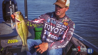 How to Find and Catch Prespawn Bass Off the Bank [upl. by Lindon]