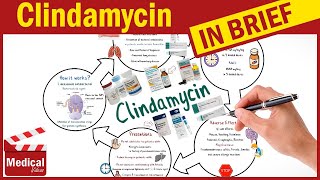 Clindamycin  Cleocin  What is Clindamycin Used For Dosage Side Effects amp Precautions [upl. by Camilia]