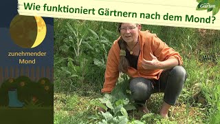 Mondgärtnern – Gärtnern im Einklang mit der Natur  MDR [upl. by Neumann]