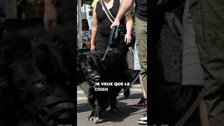 Pourquoi je fais ça avec ce chien agressif  explications [upl. by Edrock]