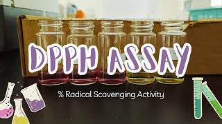 DPPH assay  Radical scavenging activity   Calculation and procedure for beginner [upl. by Alaric]