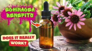 Amazing Health Benefits of Echinacea  Echinacea Health Benefits [upl. by Eilyab]