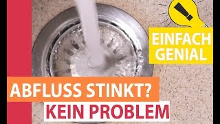 Abfluss stinkt  Gestank aus den Abflüssen in Küche oder Bad Abfluss reinigen mit diesem Trick [upl. by Ayokahs]