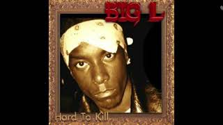 Big L  Hard to Kill HQ Acapella 884 BPM [upl. by Stromberg]