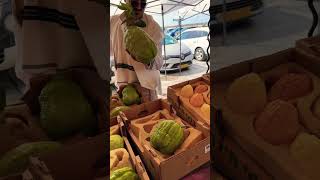 Sukkot Holiday Market Tel Aviv Israel  Etrog 🇮🇱 Israel TelAviv Sukkot [upl. by Rosemare]