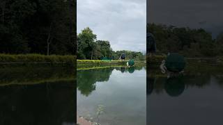 Lachhiwala Nature Park dehradun uttarakhand nature youtubeshorts vlog [upl. by Lotsirk172]