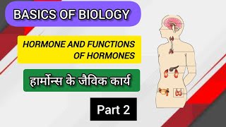 हार्मोन और हार्मोन के कार्य  Hormones and functions of hormones  basis of biology [upl. by Leschen]