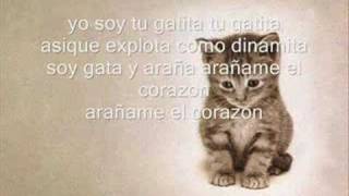 Yo soy tu Gatita  La Factoria [upl. by Casilda]