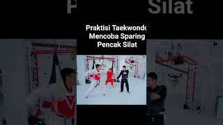 Taekwondo vs pencak silat cumakonten pencaksilat taekwondo psht beladiri ipsi silat [upl. by Oiziruam]