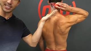 Lacrosse Ball Massage for the Upper Neck Muscles MoveU [upl. by Brynna447]