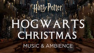 Hogwarts Christmas  Harry Potter Hogwarts Legacy Music and Ambience [upl. by Seira]