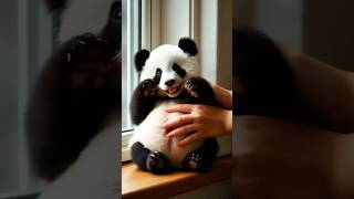 Every expression is adorable Every expression is so cute panda bigbear funny animals love [upl. by Dani]