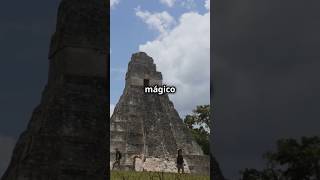 🐦 El CANTO del QUETZAL en las PIRÁMIDES de Tikal en GUATEMALA [upl. by Hnilym999]