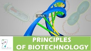 PRINCIPLES OF BIOTECHNOLOGY [upl. by Eniamaj]