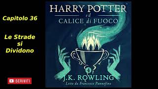 Harry Potter e il Calice di fuoco Audiolibro Italiano letto da Francesco Pannofino Capitolo 36 [upl. by Norabel]