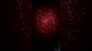 𝙋𝙄𝙉𝙆 𝘿𝙄𝘼𝙈𝙊𝙉𝘿𝙎 🎆💥 𝘼𝙉𝘼𝙉𝘿𝘼𝙎  diwali2024 fireworks crackers deepawali [upl. by Yhtir]