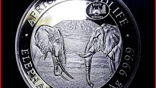 Somalia Elephant 2020 design ANA Chicago Privy Mark 2019 Unboxing [upl. by Moorefield]