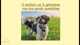 3 mythes en 3 geheimen van rustig wandelen opname [upl. by Ginnie]