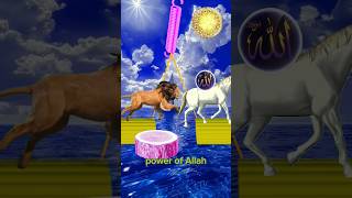 Allah hi Allah kiya karo naat Sharif islamic vfx video allah islamicmusic naatsharif shorts [upl. by Eerazed]