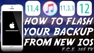 How to Restore NEWER iOS BACKUPS To OLDER iOS In Preparation For Jailbreak iOS 12 Too [upl. by Deaner]