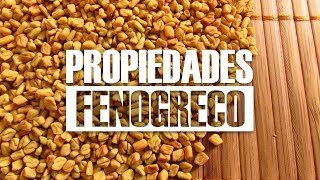 Beneficios del FENOGRECO Alholva 😍 y sus PROPIEDADES ¿Para Qué Sirve [upl. by Oflodur]