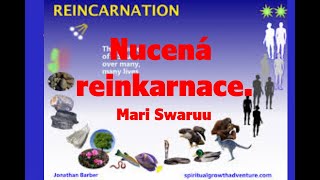 Nucená reinkarnace Mari Swaruu [upl. by Enal]