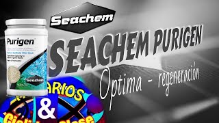 Purigen SEACHEM  Regeneración  Acuarios amp Cíclidos Close [upl. by Kylander]