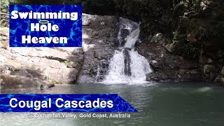 Swimming in several pools at Cougal Cascades in the Gold Coast Hinterland [upl. by Rezal]