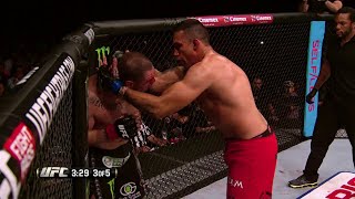 Fabricio Werdum Highlight [upl. by Roumell]