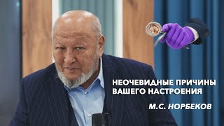 Внутренние факторы влияния на ваше настроение МС Норбеков [upl. by Thirzia63]