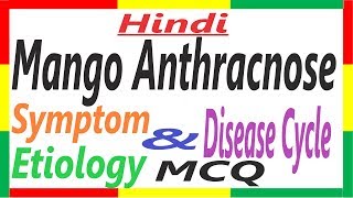 Mango Anthracnose History Symptom Etiology Disease Cycle  Plant Pathology  PHF [upl. by Ruperto677]