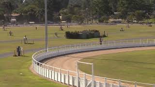 Gympie 20240615 Race 2 [upl. by Abrahamsen]