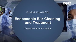 Experts’ Insight with Dr Munir Kureshi – Endoscopic Ear Cleaning [upl. by Yelsgnik]