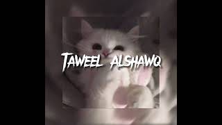 Taweel  Alshawq nasheed  speed up  jxvnav [upl. by Annol]