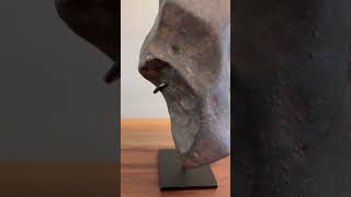 Stone Meteorite with Amazing Shape 339 kg [upl. by Augy]