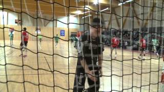 Handball PréNational Plescop vs Guingamp [upl. by Jedthus]