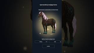 SSO Zakup Hanamiego do mojej stajni sso starstable starstableonline [upl. by Bayard716]