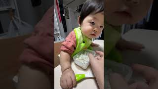 スプーン練習中生後11ヶ月 赤ちゃん vlog baby 11ヶ月ベビー cutebaby 離乳食 [upl. by Raquel]