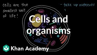 Cells and Organisms  Middle school biology  Khan Academy [upl. by Auguste]