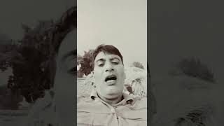 Kutto ke bhokne se kam nhi chalte  youtube shorts funny videocomedy song  short [upl. by Eng129]