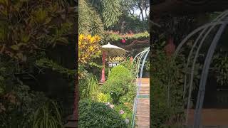 Papai Country Lodge  Chiang Mai Thailand [upl. by Hayarahs]