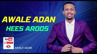 Awale Adan official aroos song [upl. by Anaili]