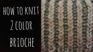 How to Knit 2 Color Brioche  EASY [upl. by Amsaj]