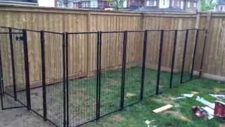 Backyard Renovation Building the Dog Fence part 2 [upl. by Shay]