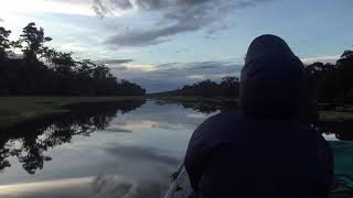 Tarpon fishingpreview with Gong Lei [upl. by Tedda650]