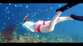 Snorkeling in Mauritius Swimming with Fish and Turtles 4K2023 [upl. by Eitteb]