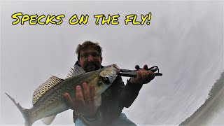 Big Speckled Trout on a Fly Rod [upl. by Ellennaj]